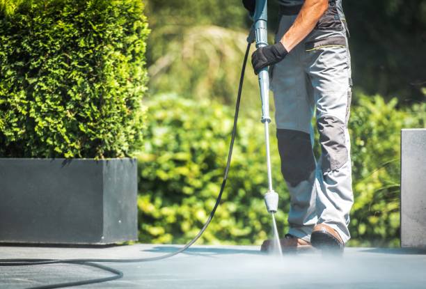 Best Fence Cleaning  in Wells Branch, TX